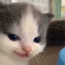 heheevil